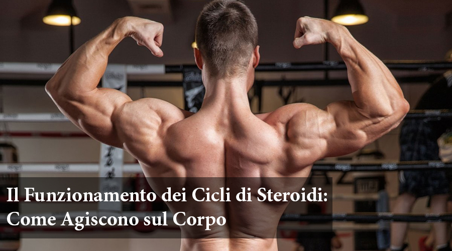 cicli di steroidi